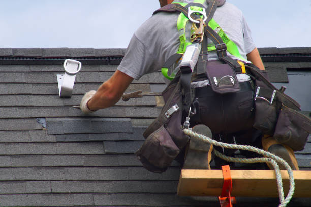 Best Siding Removal and Disposal  in Druid Hills, GA